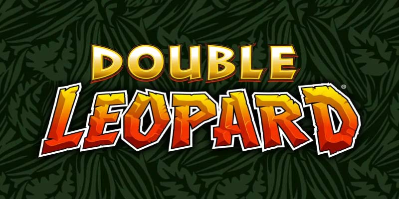 Game Double Leopard – A Thrilling Journey